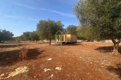 Villa i Carovigno, Brindisi, Carovigno - € 340.000 | Ref: Villa Casellini - foto 9